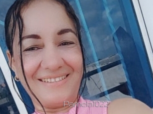 Pamela1022