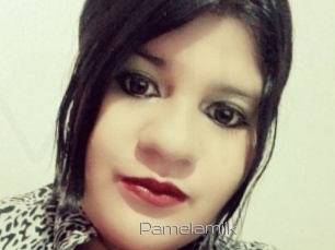 Pamelamilk