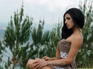Pamelaxts