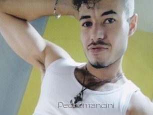 Pedromancini