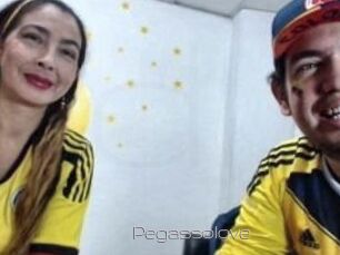Pegasso_love