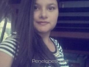 Penelopesquirt