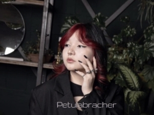 Petulabracher