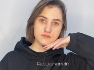Petulahankin