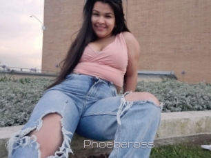 Phoebeross