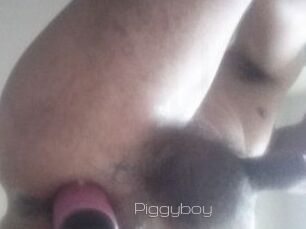 Piggyboy