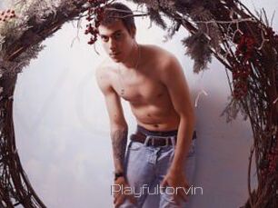 Playfultorvin