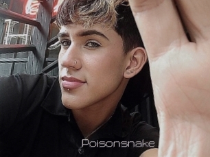 Poisonsnake