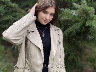 Pollerose