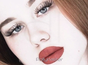 Pollynaster