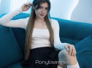 Ponytaamnel
