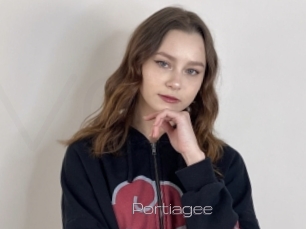 Portiagee