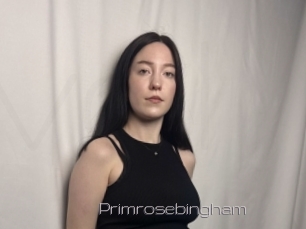 Primrosebingham