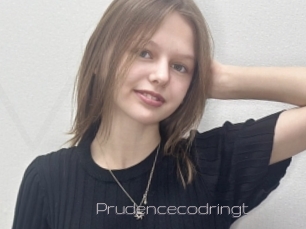 Prudencecodringt