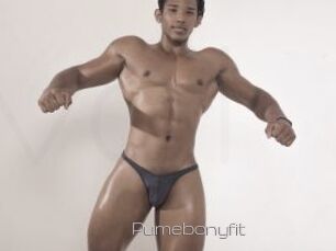 Pumebonyfit