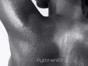Pytbrwn69