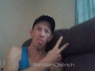 RandomOstrich