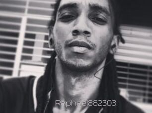 Raphael882303
