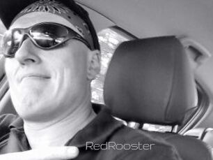 RedRooster