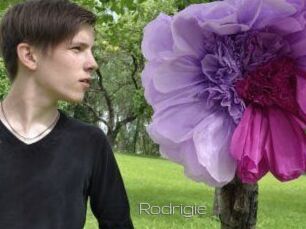 Rodrigie