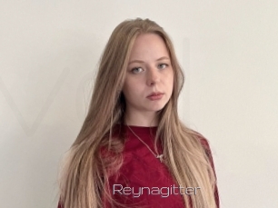 Reynagitter