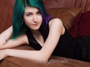 SandySnowX