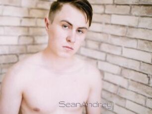 SeanAndrey