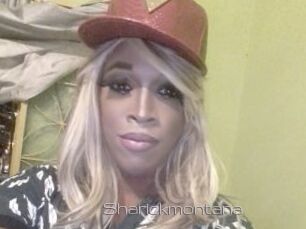 Sharickmontana