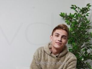 SheldonKlein