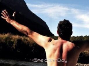 ShelodonBoy