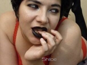 Shiloe