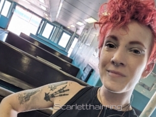 Scarletthairring