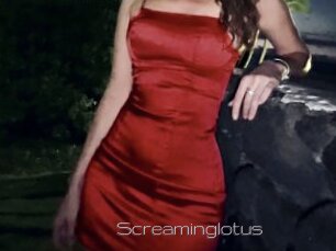 Screaminglotus