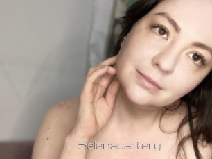Selenacartery