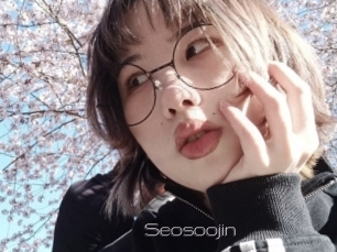 Seosoojin