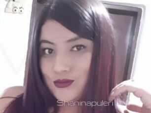 Shaninapuleri