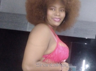 Shantallmays
