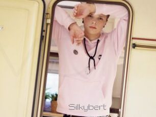 Silkybert