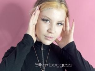 Silverboggess