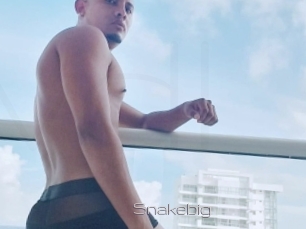 snakebig Vidéo de lesbienne