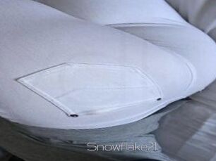 Snowflake21