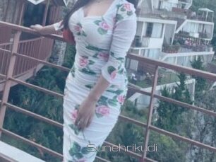 Sunehrikudi
