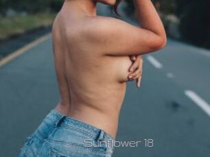 Sunflower_18
