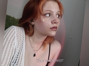 Sunxflower