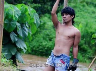 SuperbHORNYboy