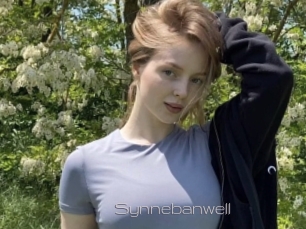 Synnebanwell