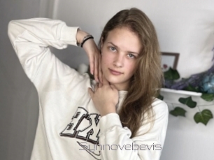 Synnovebevis