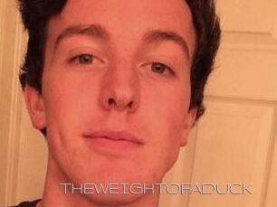 THEWEIGHTOFADUCK
