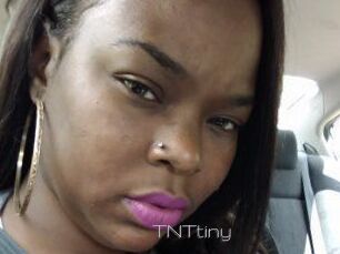 T_N_Ttiny