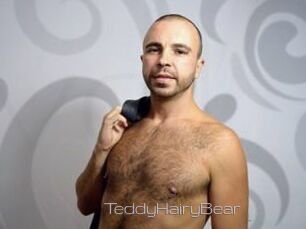 TeddyHairyBear